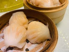 千日贺虾饺皇-千日贺茶餐厅(高新万达店)