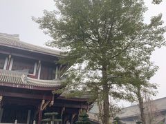 -乐山乌木文化博览苑