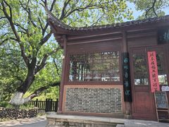 -八大山人梅湖景区