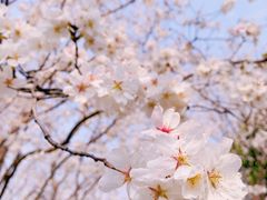 -西北湖绿化广场