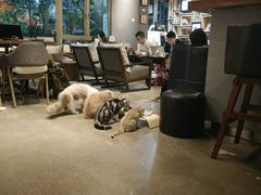 -咖法森林·咖啡  酒吧(天河店)