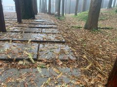 -山王坪喀斯特国家生态公园