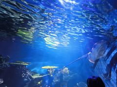 -华夏文旅海洋公园