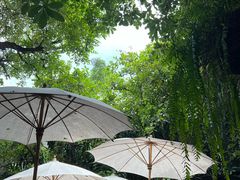 -Fern Forest Cafe