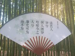 -陈家山荷花公园