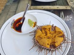黄金胆-常鲜楼常来尝鲜海胆馆(星海店)