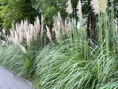 -前小桔亲子创意农场·草莓采摘·露营烧烤