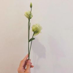点击看大图 -思怡瑜伽·普拉提·减脂塑形