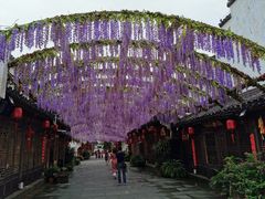 -婺源梦里老家大型山水实景演出