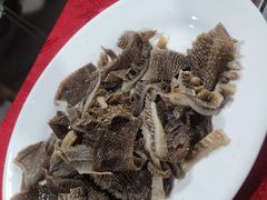 -花苑美食横琴生蚝火锅(拱北粤华路店)