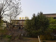 -小湾茶楼