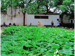 -绍兴鲁迅故里·沈园景区