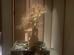 -浅深(北京北四环精品店)