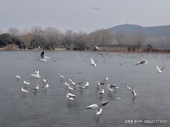 -云龙湖旅游景区