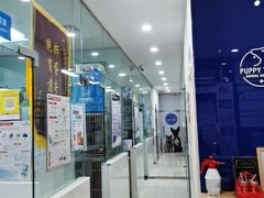 -芭比堂动物医院(广州爱宠下渡路分院)