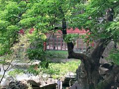 -东江渔村·古典园林·30年粤菜老字号(太和店)