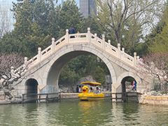 -团结湖公园