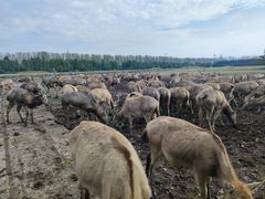 -溱湖国家湿地公园