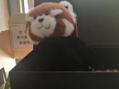 -PAGEONE(北京坊店)