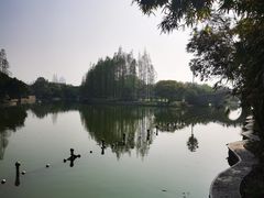 -江心屿景区