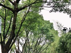 -大渡口区义渡公园