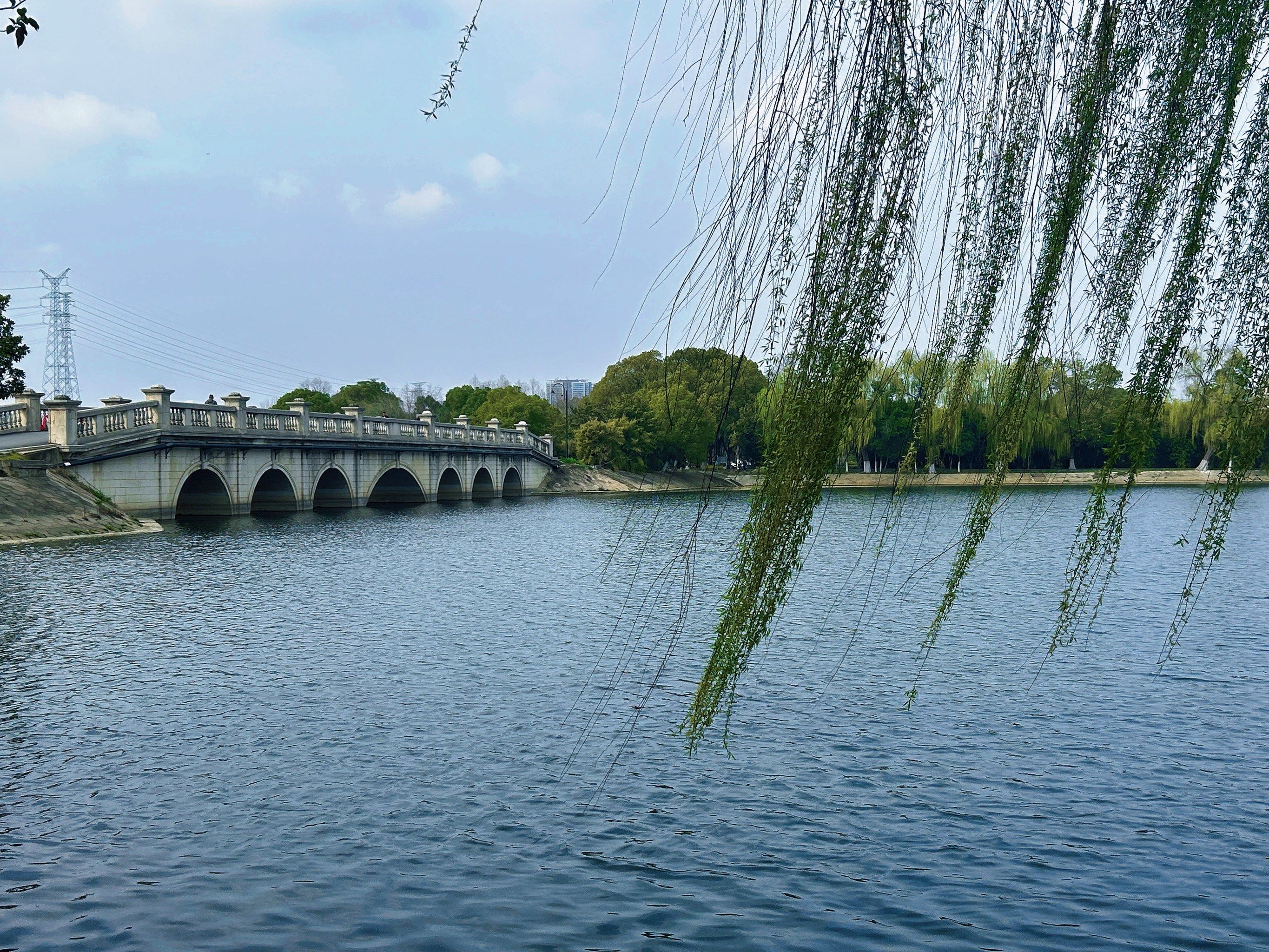 张毕湖公园 大众点评