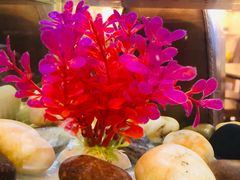 -金穗园·砂锅粥.醉鸡煲火锅(长寿路店)