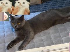 -九芝斋(解放路店)