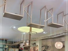 -滚猫咖啡·猫咖·猫友好撸猫(未来城店)