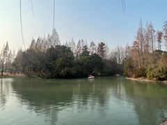 -上海滨江森林公园