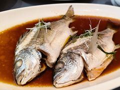 清蒸黄鳍鲷鱼-闽海肴(北辰荟店)