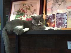 -MIKAKU(万达广场上海宝山店)