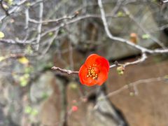 -昆山城市生态森林公园