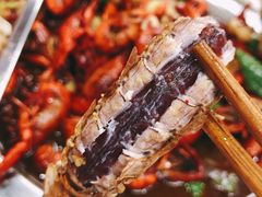 -苏州藏书羊肉(田东路店)