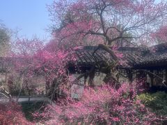 -山外山菜馆(玉泉路店)
