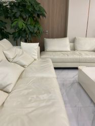 -贞禾医美·连锁