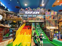 -卡通尼·Safari非洲探索乐园·生日会(金桥国际商业广场店)