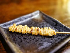 鸡皮-串鑫