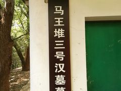 -马王堆汉墓遗址