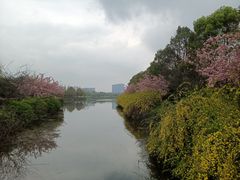 -成都南湖公园