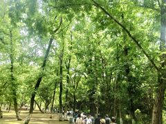 -采石矶景区
