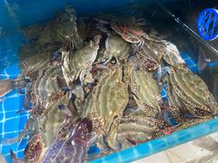 -宾朋海鲜特色美食餐厅·纯手工鲅鱼水饺(兴海路店)