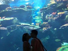 -暹罗海洋世界