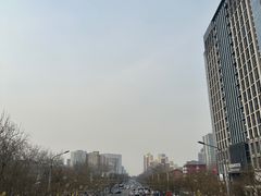 -三里屯东五街银杏大道