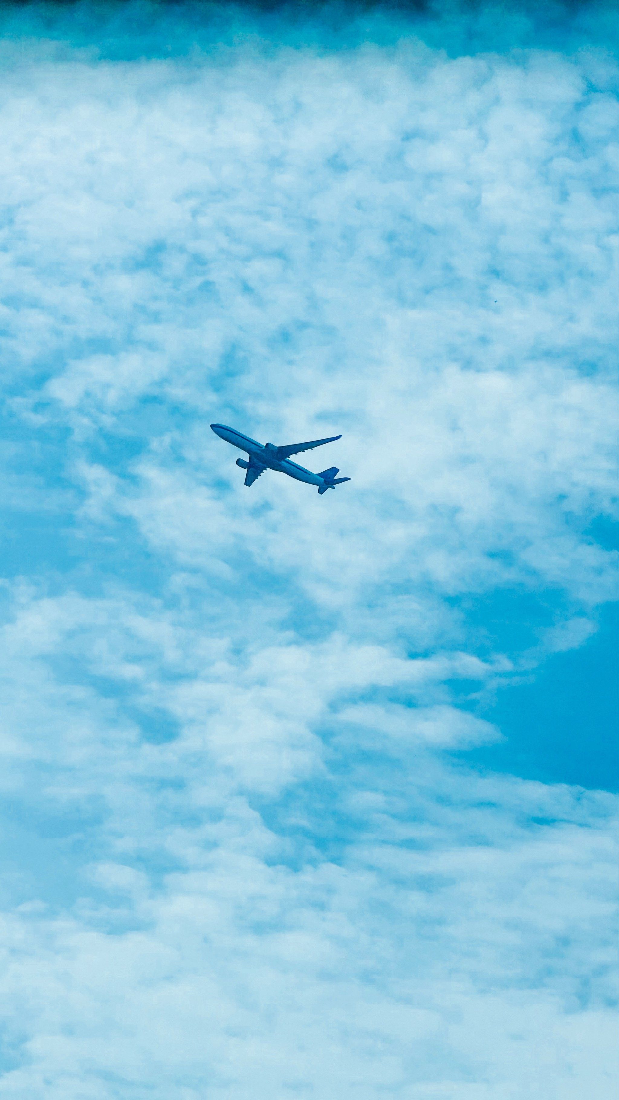 独自飞翔的小飞机