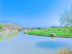 -乌村