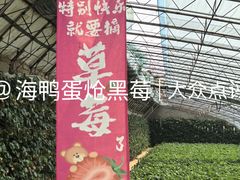 -大自然农场蔬菜草莓采摘园
