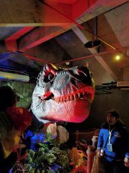 -恐龙探索乐园(磁器口店)