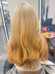 -IP SALON
