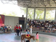 -石家庄市动物园